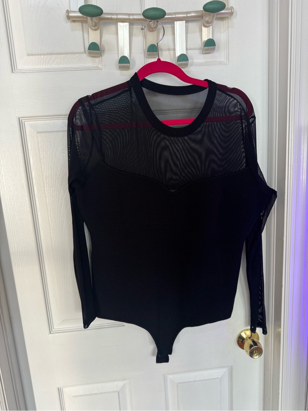Express Black Mesh Long-Sleeve Bodysuit